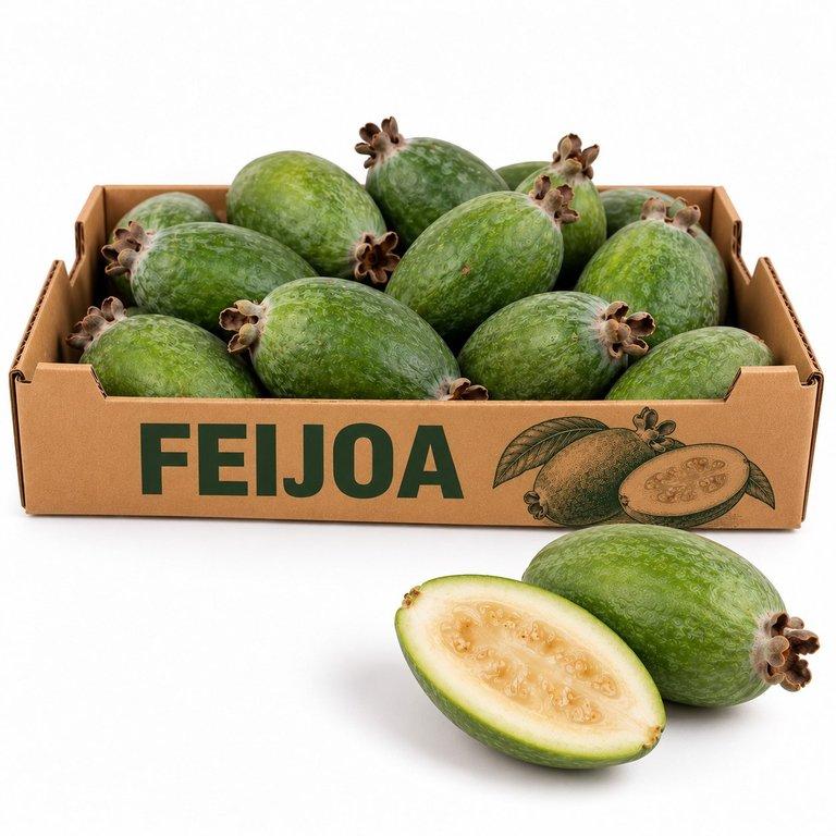 Feijoa