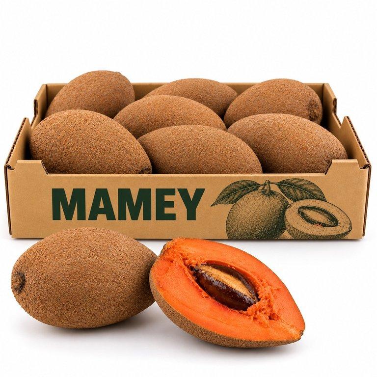 Sapodilla / Mamey