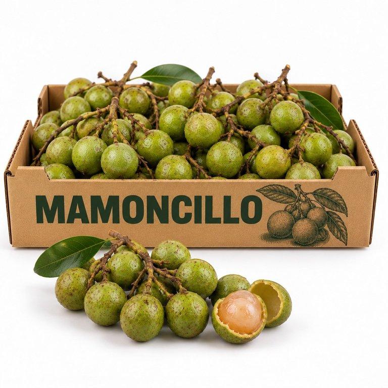 Mamoncillo (Spanish Lime)