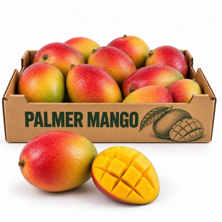 Palmer Mango