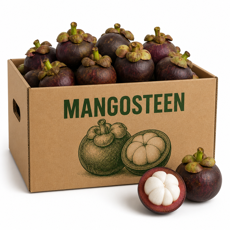 Mangosteen x3