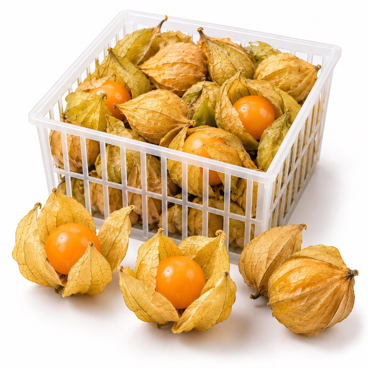 Physalis (with husk)