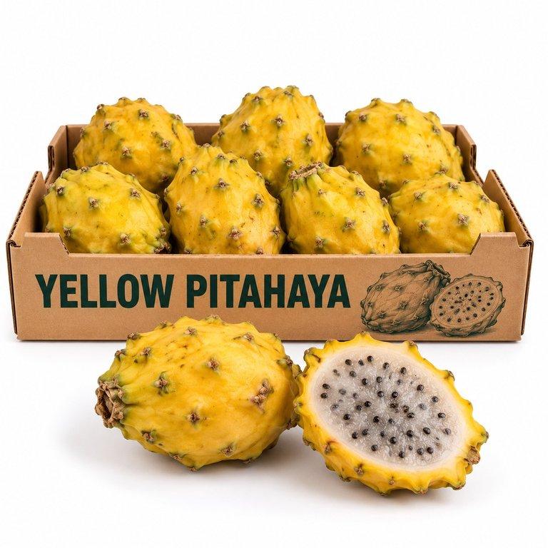 Yellow Pitahaya