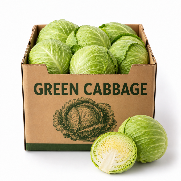 Green Cabbage